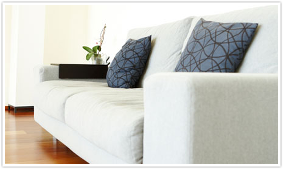 Upholstery Cleaning