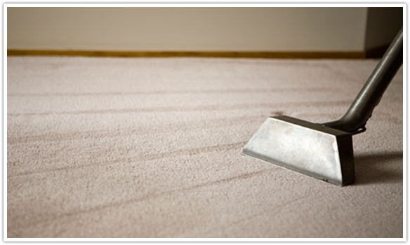 Carpet Cleaning
